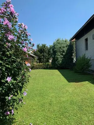 a yard with pink flowers and a house at Ela's Apartment in Komenda