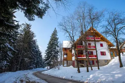 a house in the snow with a road at Bolfenk lodge apartment in Pohorje