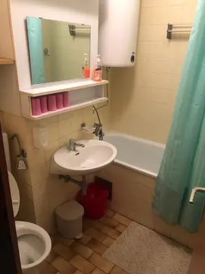 a bathroom with a sink and a toilet and a tub at Retro apartments Kaninska vas in Bovec
