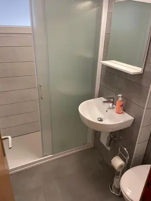 a bathroom with a sink and a shower at Retro apartments Kaninska vas in Bovec