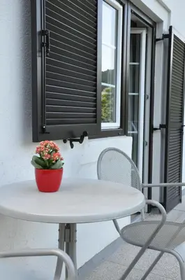 a white table with a potted plant on a patio at Vas Lipa 7 -30 in Podčetrtek