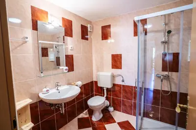a bathroom with a toilet and a sink and a shower at Apartmaji Alpski cvet - Hiša Gorenc in Bohinj