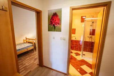 a hallway with a door leading to a bathroom at Apartmaji Alpski cvet - Hiša Gorenc in Bohinj