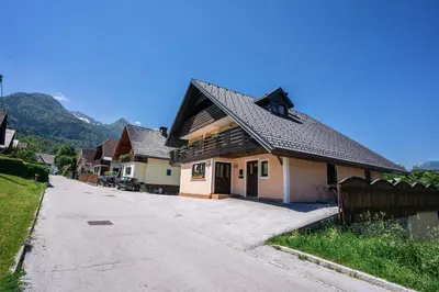 a house on the side of a road at Apartmaji Alpski cvet - Hiša Gorenc in Bohinj