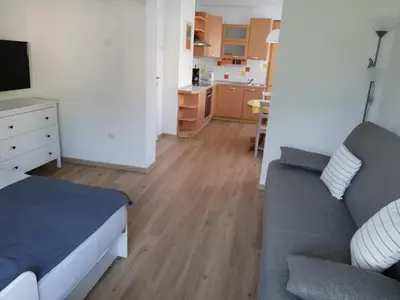 a living room with a bed and a couch at Apartma Vojvoda in Bohinj