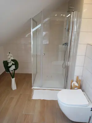 a bathroom with a shower and a toilet at Apartma Vojvoda in Bohinj