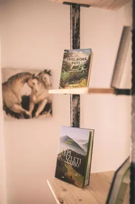 two books sitting on a shelf next to a table at Mama Mia Apartments in Radovljica