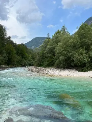 a river with turquoise water next to a forest at APARTMA BENY with SAUNA in Žaga