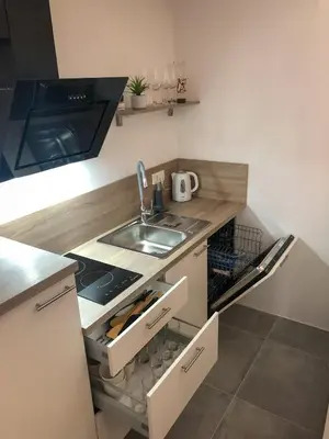 a small kitchen with a sink and a stove at Ski and Bike Apartment Rušovc in Kranjska Gora