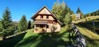 a small wooden house on a grassy hill at Prbajtnjeko in Bohinj