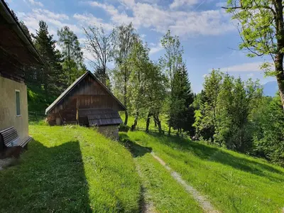 a barn on a grassy hill next to a field at Prbajtnjeko in Bohinj