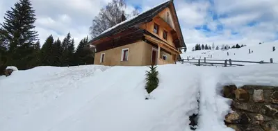 a house with a christmas tree in the snow at Prbajtnjeko in Bohinj