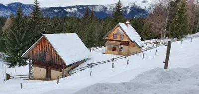 a barn in a snow covered field with trees at Prbajtnjeko in Bohinj