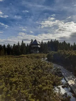 Gallery image of Apartma Zoja in Zreče