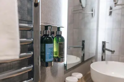a bathroom with two bottles on a counter next to a sink at Hotel Majerca Superior in Bohinj