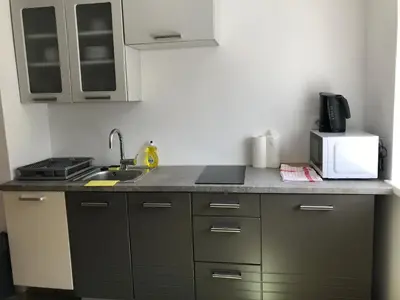 a kitchen with a counter with a sink and a microwave at Apartma EVA&MATIC in Kranjska Gora
