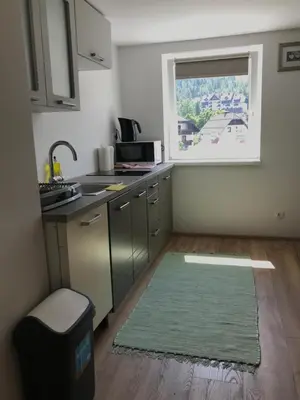 a kitchen with a sink and a window at Apartma EVA&MATIC in Kranjska Gora