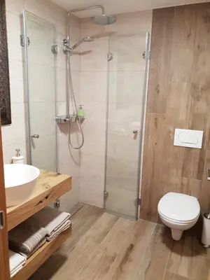 a bathroom with a shower and a toilet and a sink at Holiday House Red Deer in Preddvor
