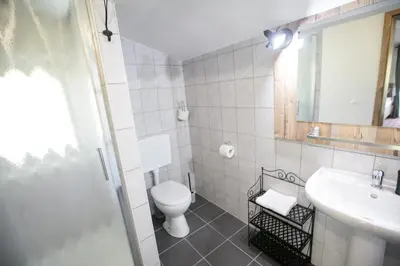 a bathroom with a toilet and a sink at Hiša Poljana Rooms in Prevalje
