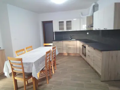 a kitchen with a table and chairs and a sink at APARTMAJI MATAŽIN in Črni Kal