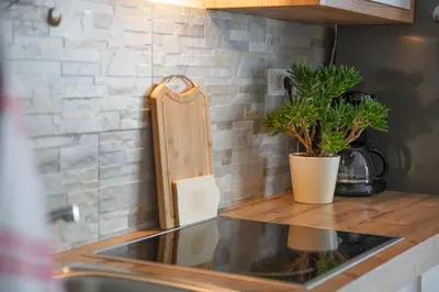 a kitchen counter with a sink and a potted plant at Apartma Natura Kope in Šmartno pri Slovenj Gradcu