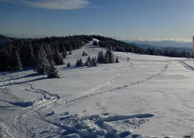 a person skiing down a snow covered slope with trees at Apartma Natura Kope in Šmartno pri Slovenj Gradcu