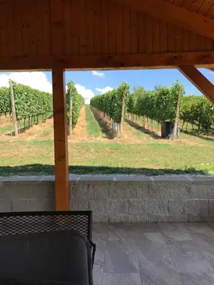 a view of a vineyard from the porch of a winery at Vinska klet Seršen in Dobrovnik