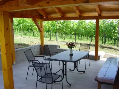 a table and chairs on a patio with a table at Vinska klet Seršen in Dobrovnik