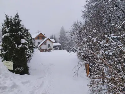 a snow covered road in front of a house at InGreen house in Bohinjska Bela