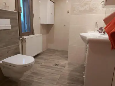 a bathroom with a toilet and a sink at InGreen house in Bohinjska Bela