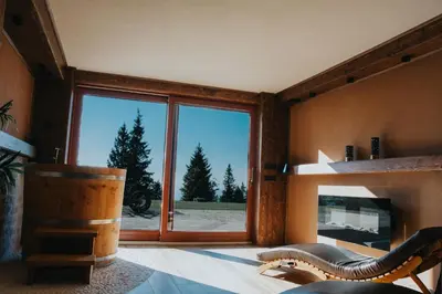 a room with a fireplace and a large window at Apartmaji Mara in Ribnica na Pohorju