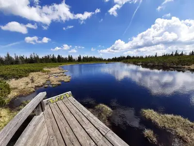 a wooden dock in the middle of a river at Apartmaji Mara in Ribnica na Pohorju