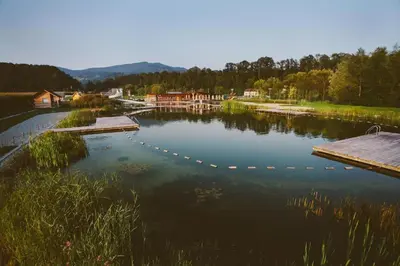 a lake with a dock in the middle of it at Apartmaji Mara in Ribnica na Pohorju