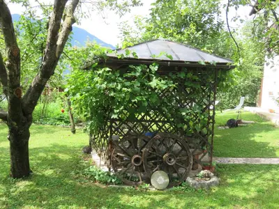 a garden cart with a plant on top of it at Apartma Jager in Bovec