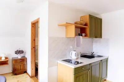 a kitchen with green cabinets and a sink at Ana Antloga Apartments in Bled