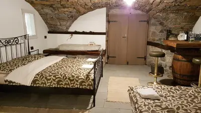 a bedroom with two beds and a stone wall at Wine cellar room in Vipava