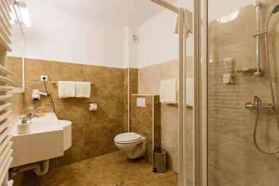a bathroom with a toilet and a sink and a shower at Penzion Kaps in Bled