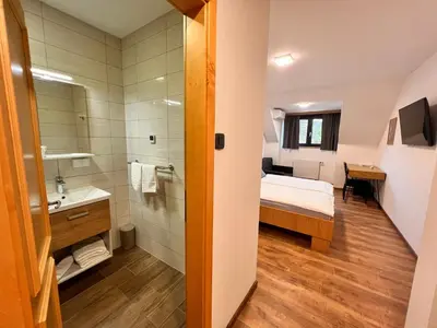 a bathroom with a bed a sink and a shower at Kozjanski dvor in Podčetrtek
