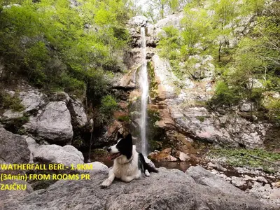 a dog sitting on a rock in front of a waterfall at Rooms pr zajčku in Tolmin