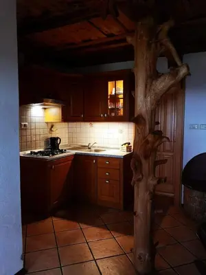 a kitchen with a tree in the middle of it at Kopiše in Zoll
