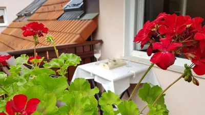 a balcony with red flowers and a table and a window at APARTMA SVETINA in Bled