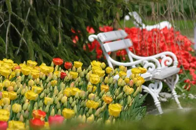 a white bench sitting next to a bunch of flowers at Apartma Vita in Rečica ob Savinji
