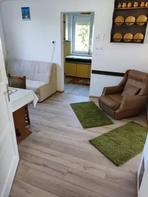 a living room with a couch and two rugs at Apartma Vita in Rečica ob Savinji