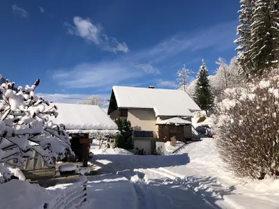 a house covered in snow with trees andrees at SavaDolinka House ID 116O7O in Mojstrana