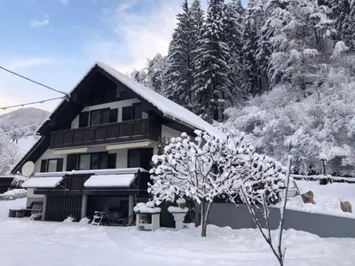 a snow covered house with a tree in front of it at SavaDolinka House ID 116O7O in Mojstrana
