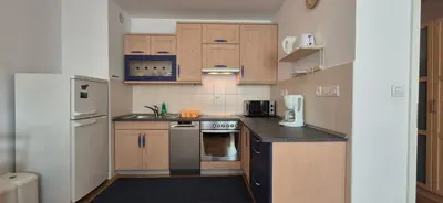a small kitchen with wooden cabinets and appliances at Apartment Irena Tour As Ljubljana in Ljubljana