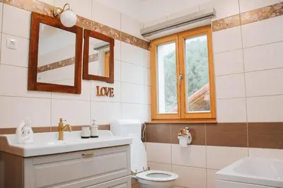 a bathroom with a toilet and a sink and a mirror at Apartment Kapitan with climbing wall in Kobarid