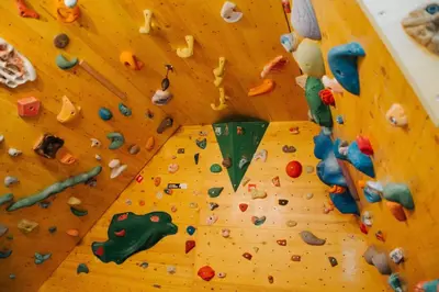 a close up of a climbing wall with different types of rocks at Apartment Kapitan with climbing wall in Kobarid