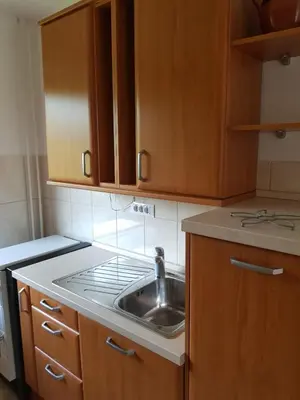 a kitchen with a sink and wooden cabinets at Apartma Unica in Bled