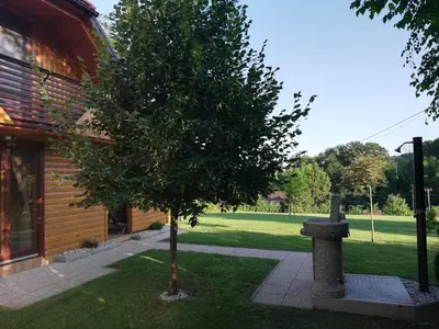 a tree in a yard next to a building at Brunarica Lorentia in Bizeljsko